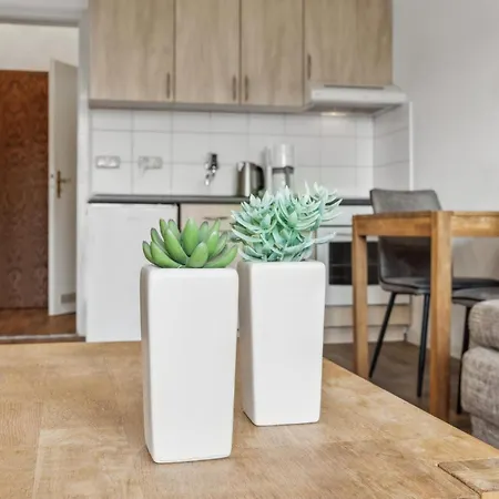 Amazing In * Анклам